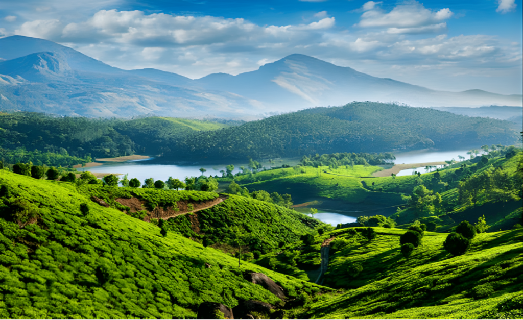 Wayanad